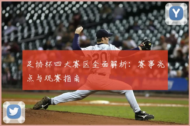 足协杯四大赛区全面解析：赛事亮点与观赛指南