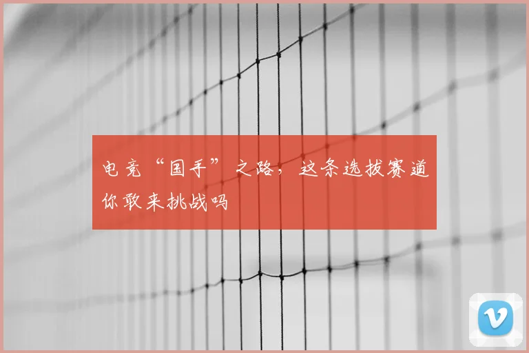 电竞“国手”之路，这条选拔赛道你敢来挑战吗
