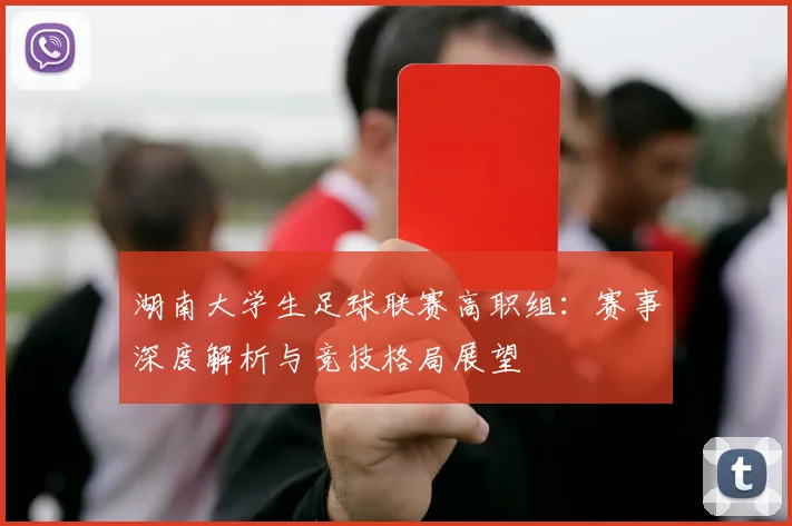 湖南大学生足球联赛高职组:赛事深度解析与竞技格局展望