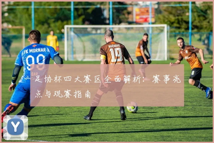 足协杯四大赛区全面解析:赛事亮点与观赛指南
