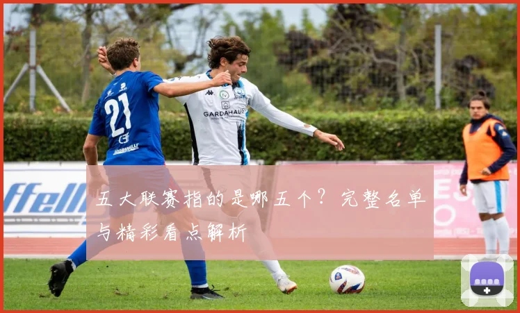 五大联赛指的是哪五个？完整名单与精彩看点解析