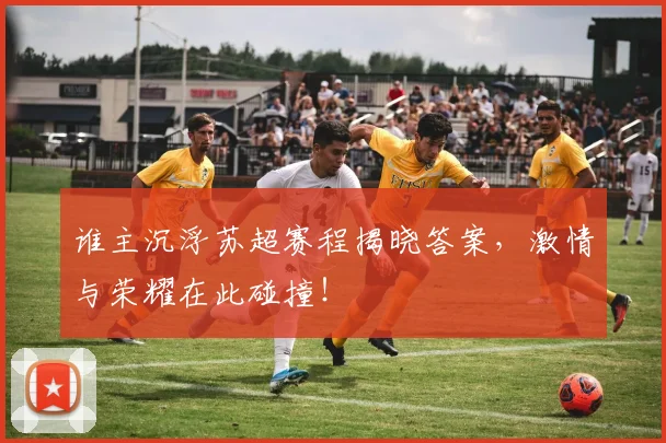 谁主沉浮苏超赛程揭晓答案,激情与荣耀在此碰撞!