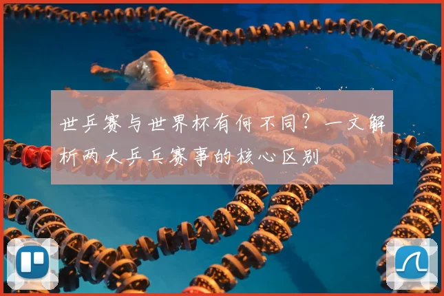 世乒赛与世界杯有何不同?一文解析两大乒乓赛事的核心区别